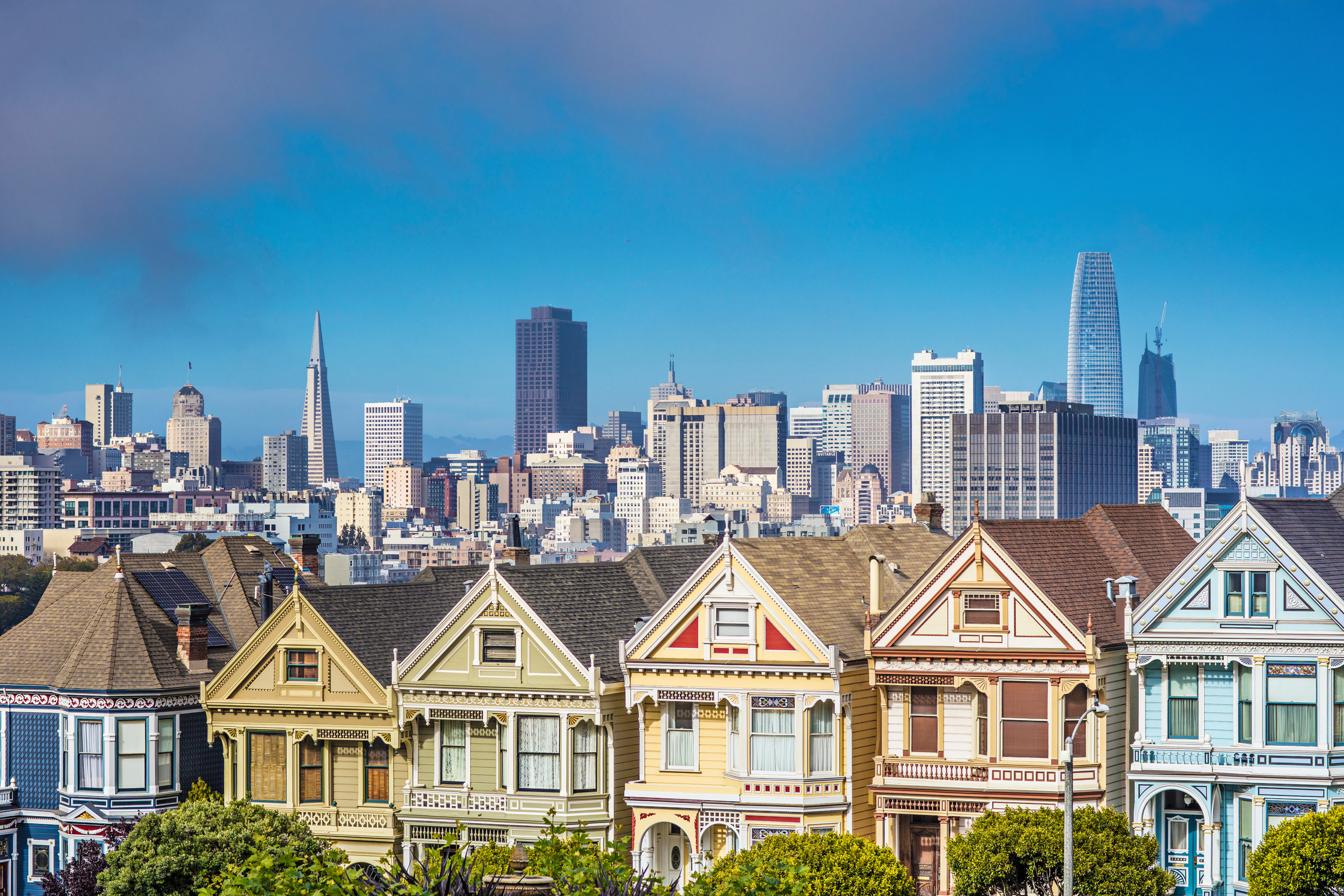 The Painted Ladies of San Francisco, California. USA